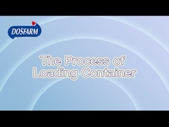 Processo di spedizione rigoroso e standardizzato